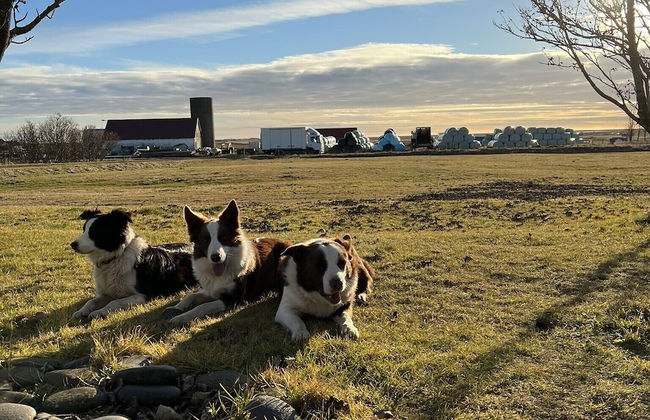 Farmer's Guest House - Foto 16