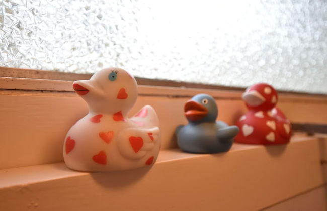 Atmospheric Bungalow in Exloo With Bicycles Available - Foto 20