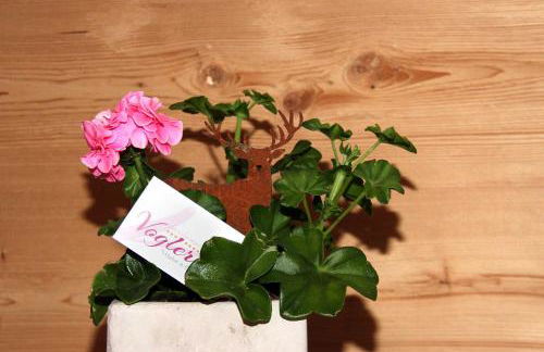 Haus Vogler - Photo 24