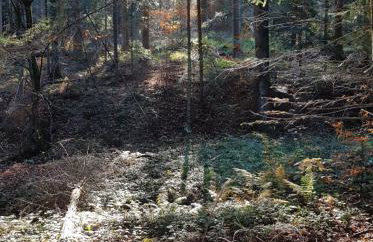 Domek u Hołąbków - Foto 30