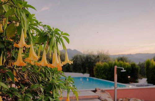 BioAgriturismo Antica Sena - Foto 7