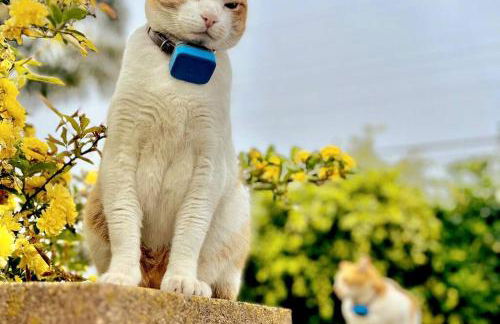 Mile to Beach! Tiki Master Suite - Foto 21