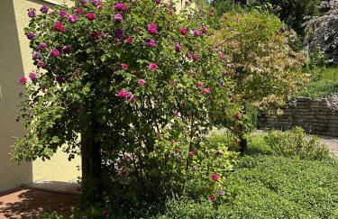 meywohnen Bad Endorf - Foto 15