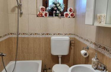 Apartmani Milenko Lubenice - Foto 35