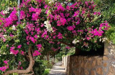 Sol Mediterráneo - Palm Beach 4 - Photo 19