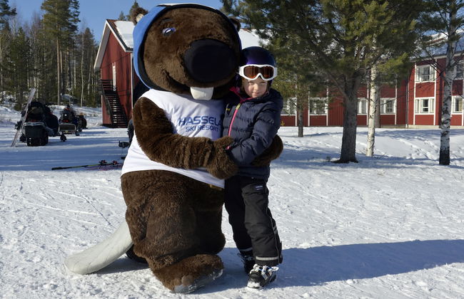 Hassela Ski Resort Cabins - Photo 35