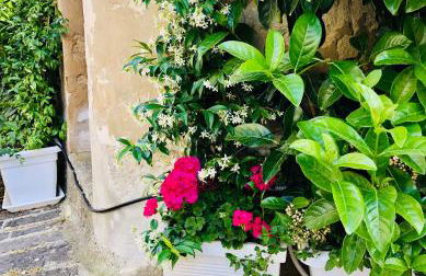 A casa da Anita - Foto 9