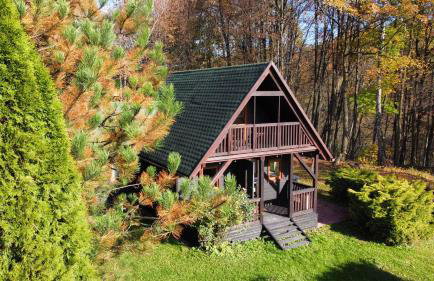 Domek Pod Lasem - Foto 21