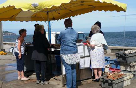 La Plage en Normandie - Foto 27