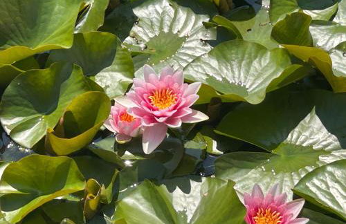 agriturismo zibramonda - Foto 16