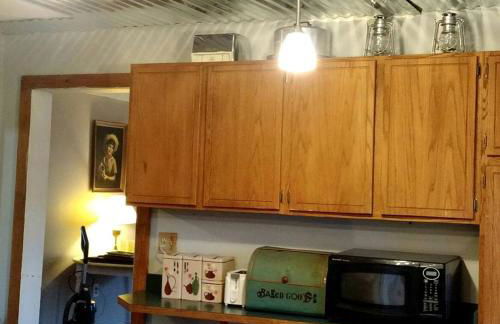 Vintage Cabin Rental near Tippy Dam in Manistee National Forest, Michigan - Foto 4