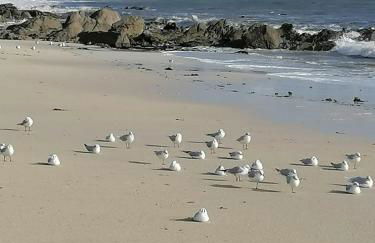 Villa "Keryoc'h" - Foto 44