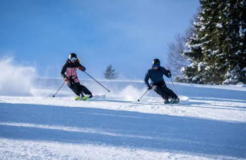 Apartment Caroline - Gemütliche Ferienwohnung mit Pool, Sauna und Hochschwarzwaldcard - Foto 42