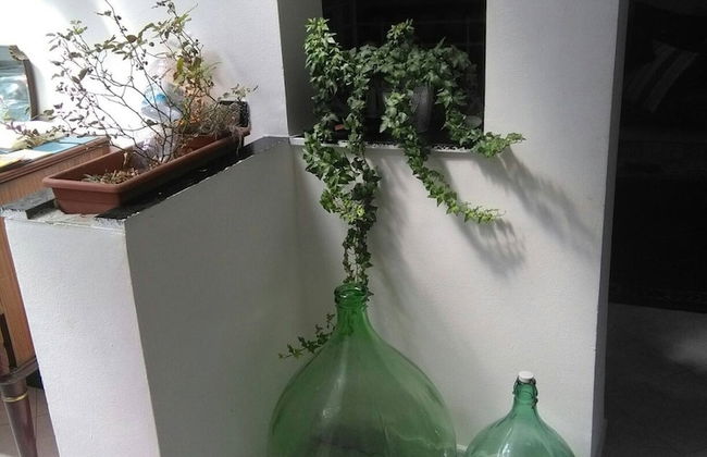 Spacious and Naturally Bright Bomboniera Rooftop Favors Apartment - Foto 16