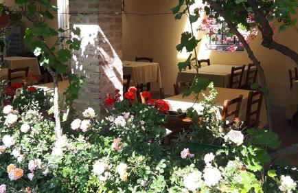 Agriturismo Corte Gaia - Foto 65