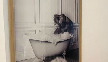 Le Nid Tranquille de Nancy - Photo 5