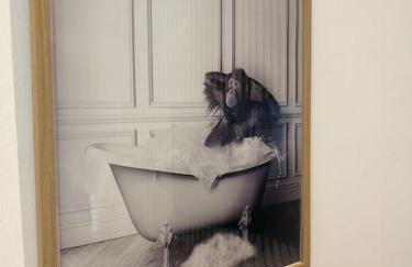 Le Nid Tranquille de Nancy - Photo 5