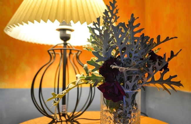 Ars Naturae Biologic Farm - Foto 50