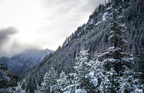 Les Chambrettes - Foto 11