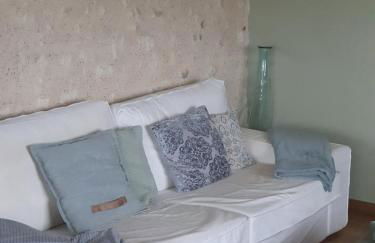 Gîte du "Chat botté" Zoo de Beauval Châteaux de La Loire 4 pers - Foto 13