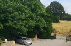 Sharecroppers Cottage with Swimming Pool - Foto 34