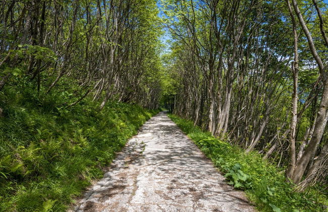 Residenza La Parusciola - Foto 28