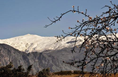 La Era de Alcántara - Foto 32
