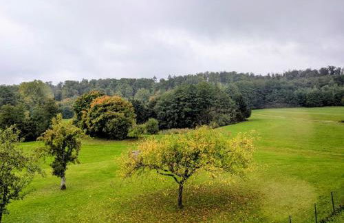 Eulennest im Ferienhaus an der Holzecke - Foto 30