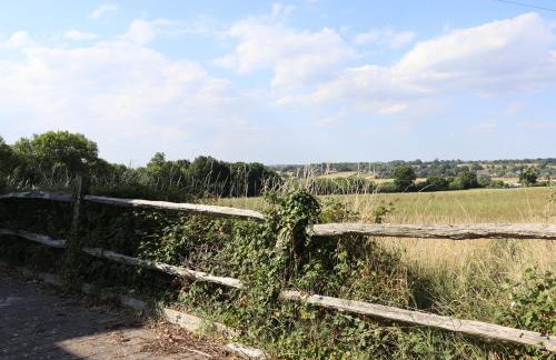 The Orchard - Photo 79