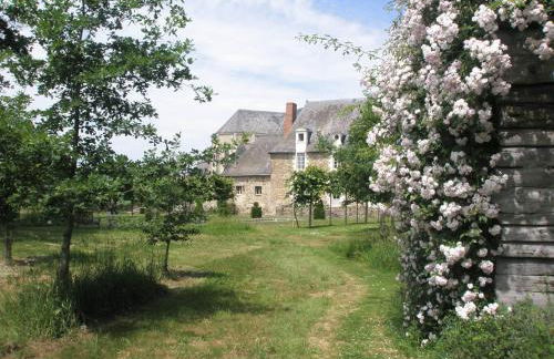 Gîte du Plessis - Photo 9