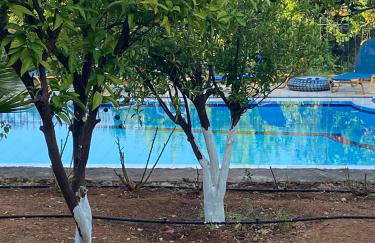 Villa Lemonia - Foto 24