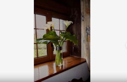 Casa completa - Photo 19