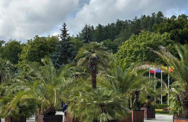 Wiśniowy Sad - Foto 64