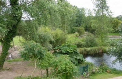 Gites de la Haie - Foto 38