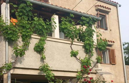 Holiday Home Loznati - Foto 6