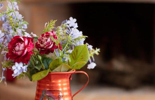 Anemos Studio - Foto 124