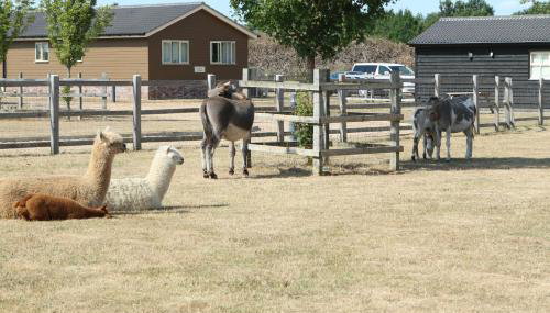 Waterside Lodges Cambridge - Foto 3