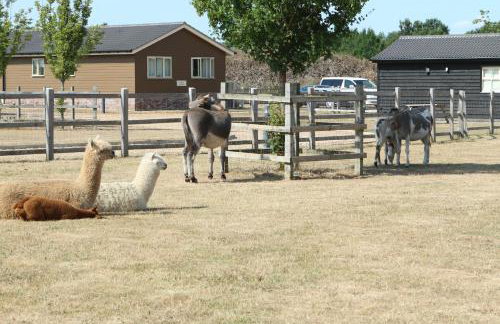 Waterside Lodges Cambridge - Foto 3