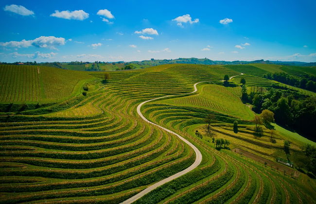 Holiday House Podhamer Marijan - Foto 56