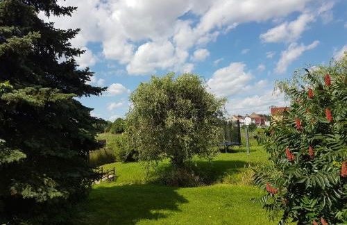 FeWo am Moorteich - Foto 18