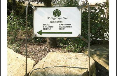 Agriturismo Poggio Degli Olivi - Guest House - Foto 134