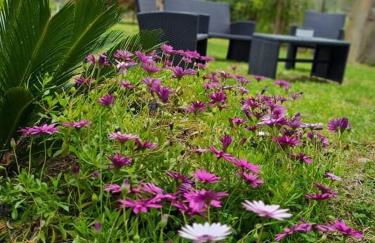 Bill's Garden Villa - Foto 8