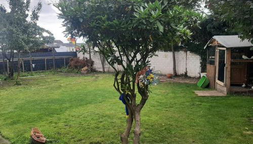 Wohnen auf Zeit HF - Foto 3, Garden