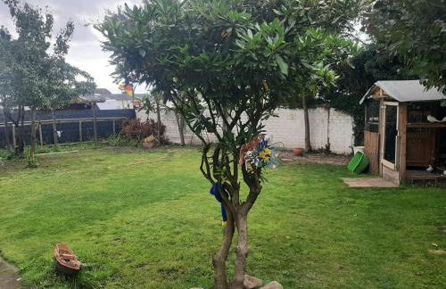 Wohnen auf Zeit HF - Foto 3