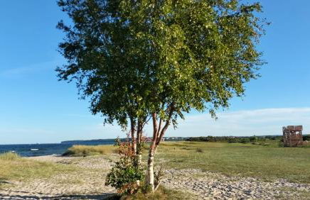 Apartament Turkusowe Łąki 4c-1 - Foto 63