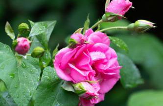 Blueberry Living - Design-Apartments am Starnberger See, Natur & Erholung, Privatparkplatz, nur 400 m zum See - Foto 12