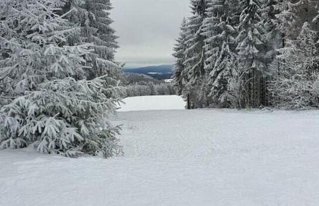 Chalet in Schnett Near Ski Slopes - Foto 29