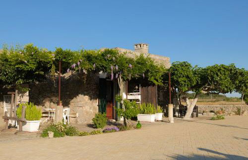 Palacca, trullo salentino - Foto 34