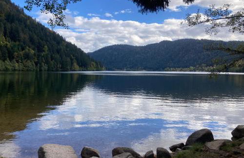 Le Perchoir, Gîte 7 personnes, Le Grand Valtin - Foto 39