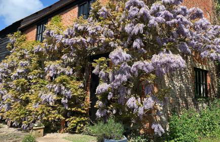 The Grannary - Photo 14